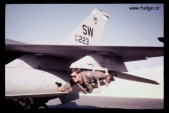 grippen[1].jpg